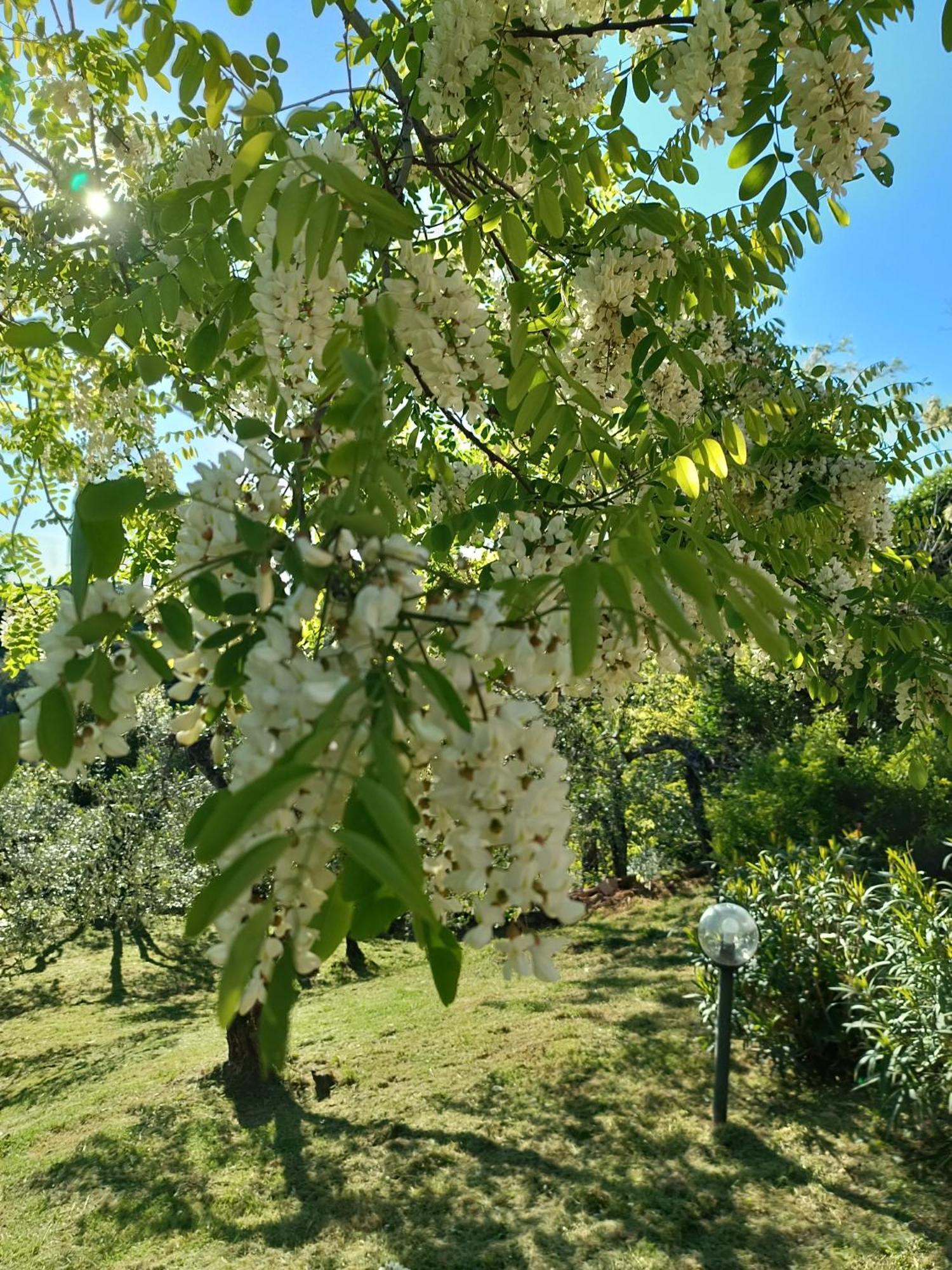 Le Massucce San Casciano in Val di Pesa Exterior photo