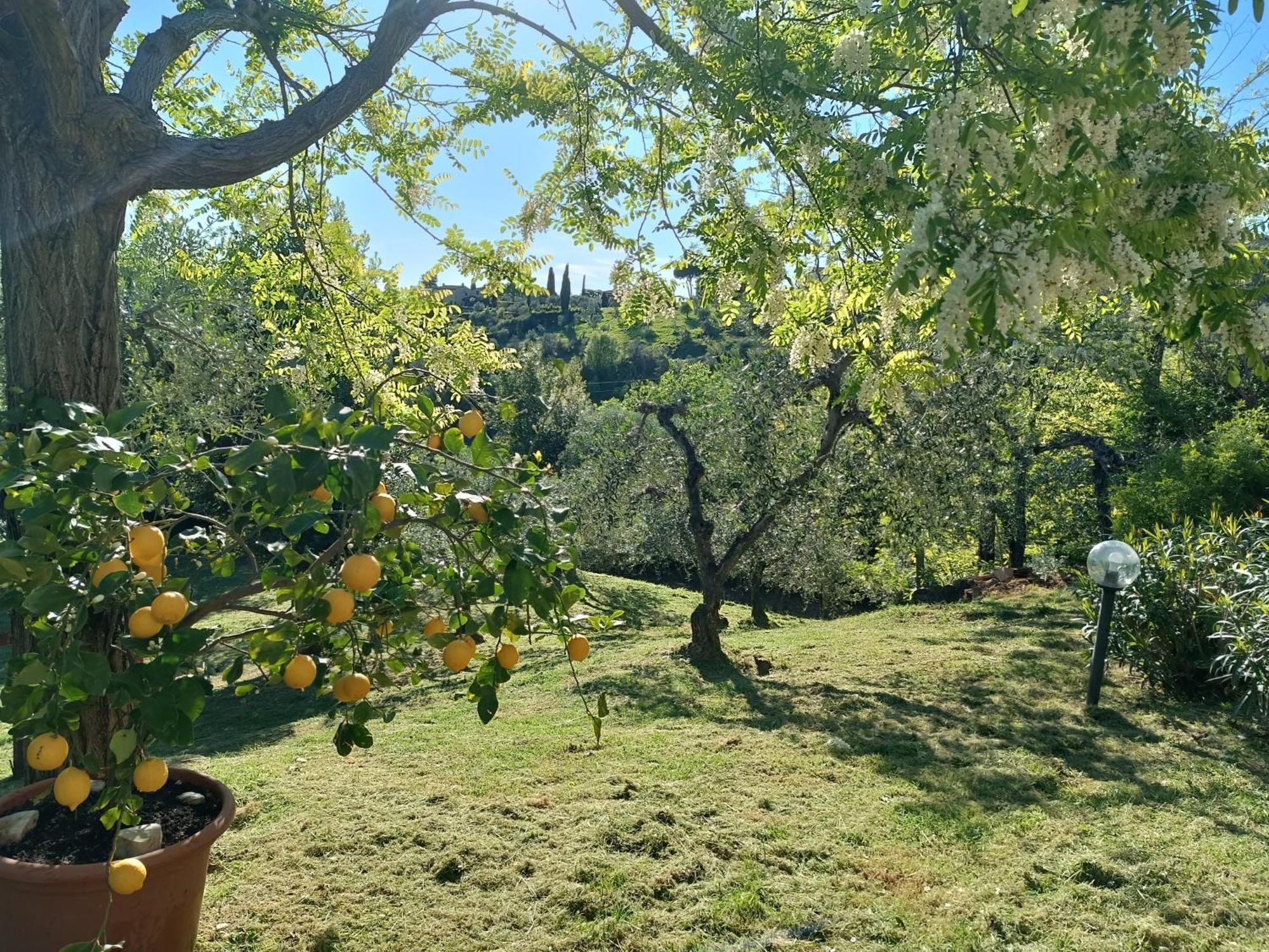 Le Massucce San Casciano in Val di Pesa Exterior photo