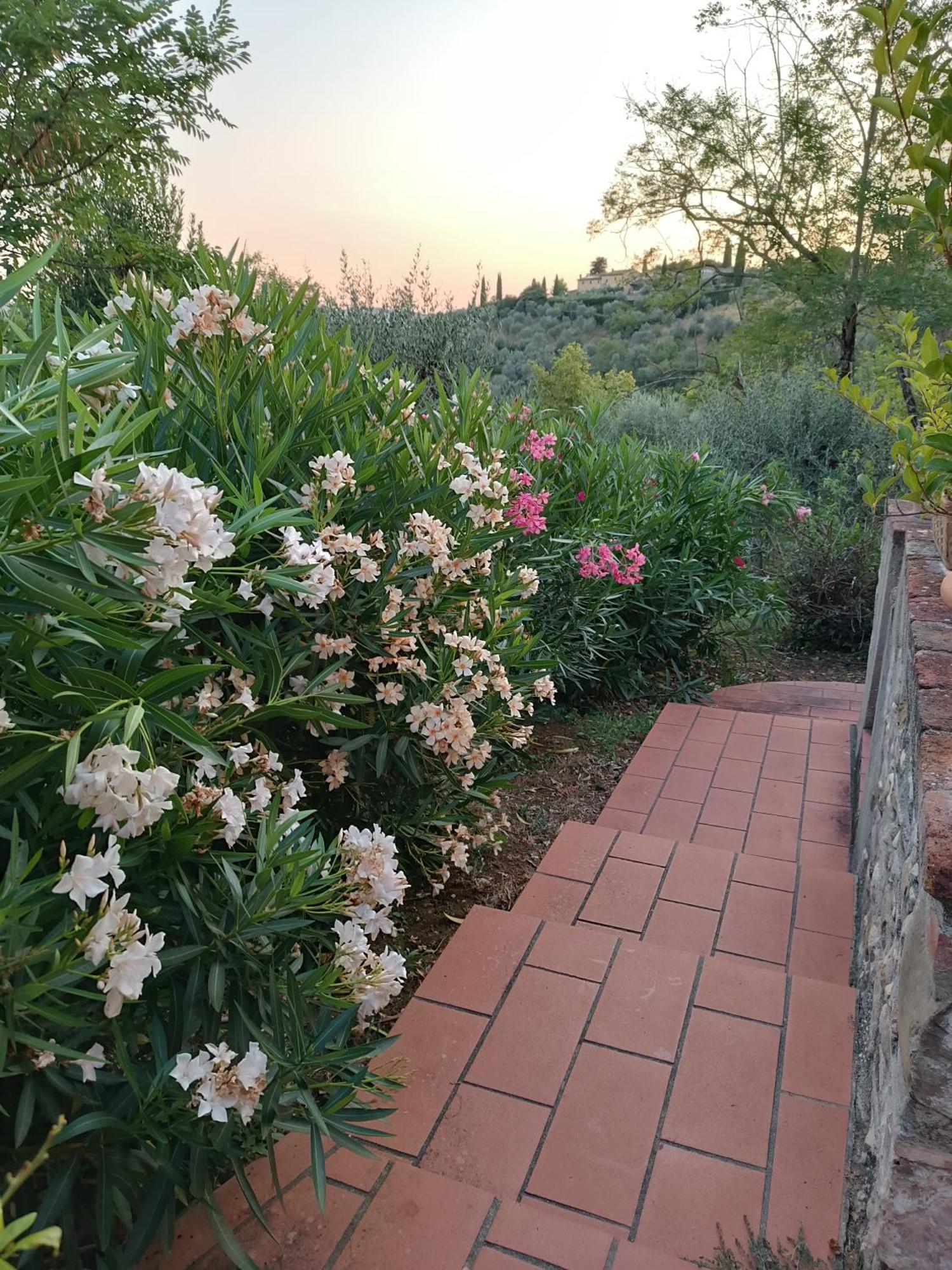 Le Massucce San Casciano in Val di Pesa Exterior photo
