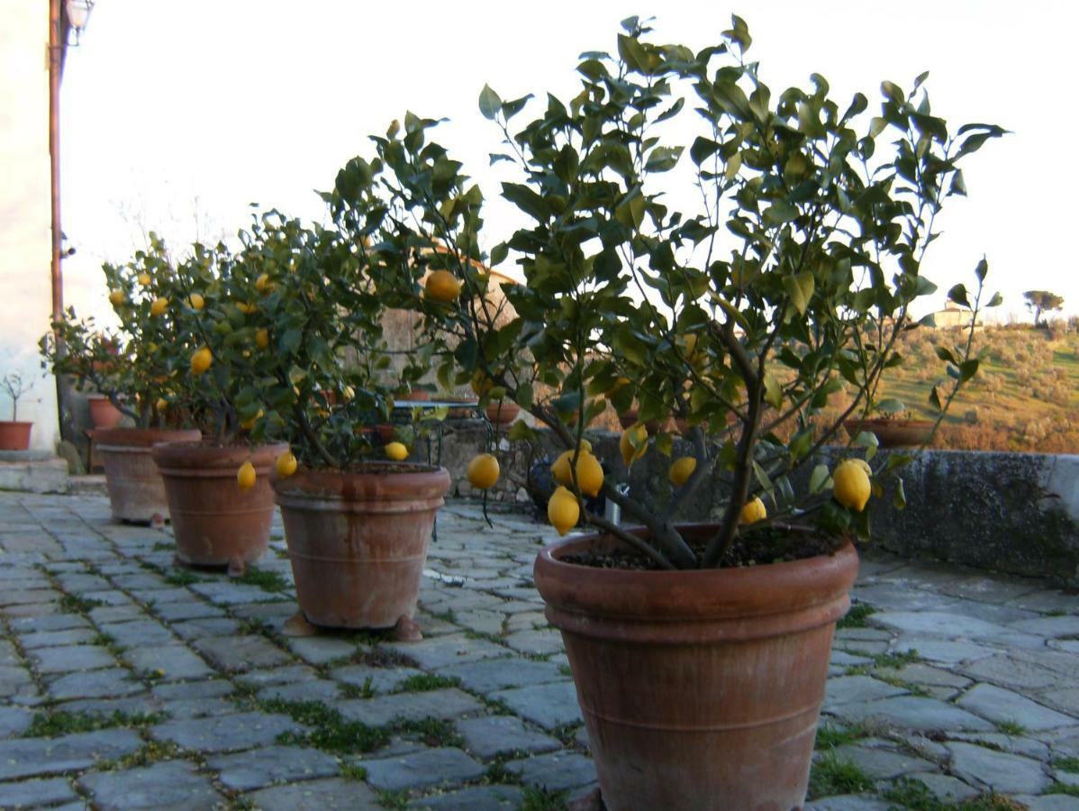 Le Massucce San Casciano in Val di Pesa Exterior photo