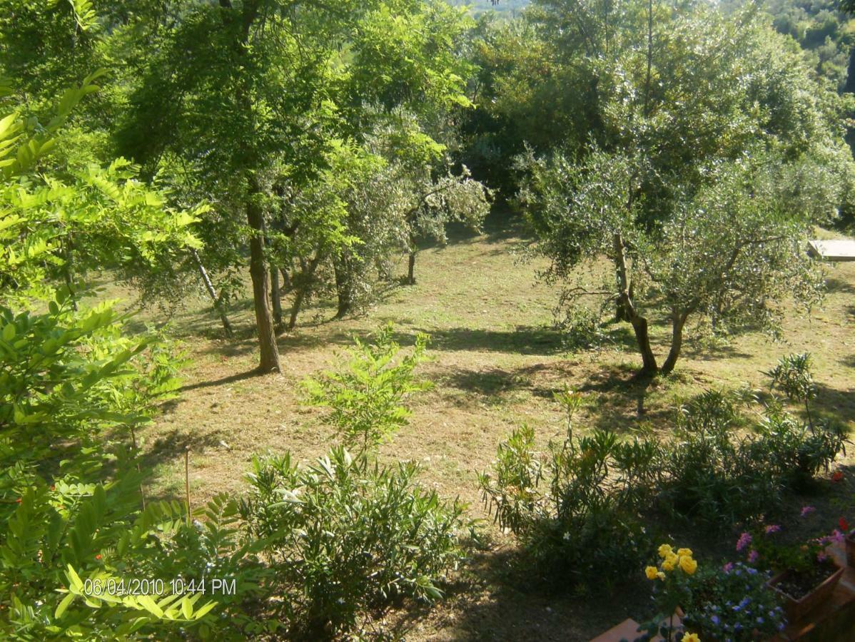 Le Massucce San Casciano in Val di Pesa Exterior photo