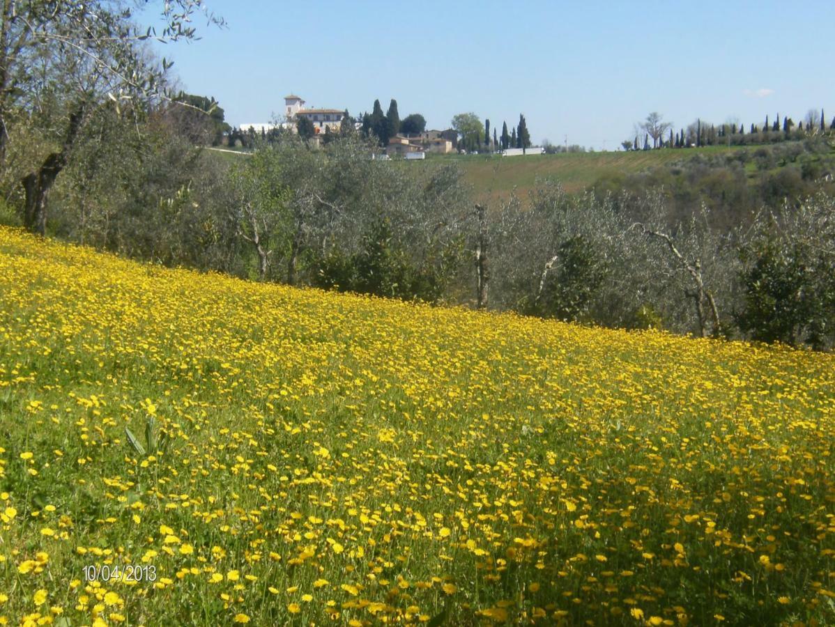 Le Massucce San Casciano in Val di Pesa Exterior photo