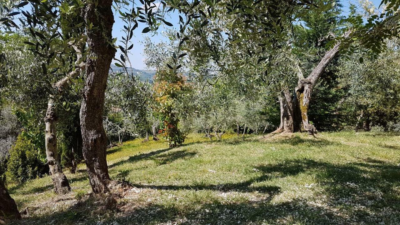 Le Massucce San Casciano in Val di Pesa Exterior photo